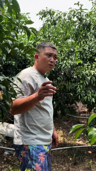 ���������ң��#��ũ #��ũݪֲ #����ݪֲ #��԰����