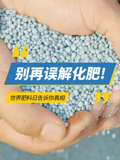 ������⻯��!���·����ո���������#���۹��� #ũҵݪֲ #���� #���·����� #��һ������ 