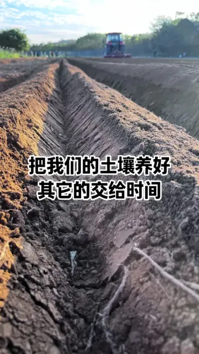 ������������Ļ�����ֻҪ����������ˡ������������ֵĲ���Ȼ�Ǹ����������糤��׳#�������� #������� #ũҵݪֲ #�������� #������ũ֧����ũ