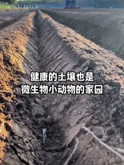 ����������Ҳ��΢���С�����ǵļ�԰ #�������� #�������� #΢���� #ũҵݪֲ #��̬ũҵ