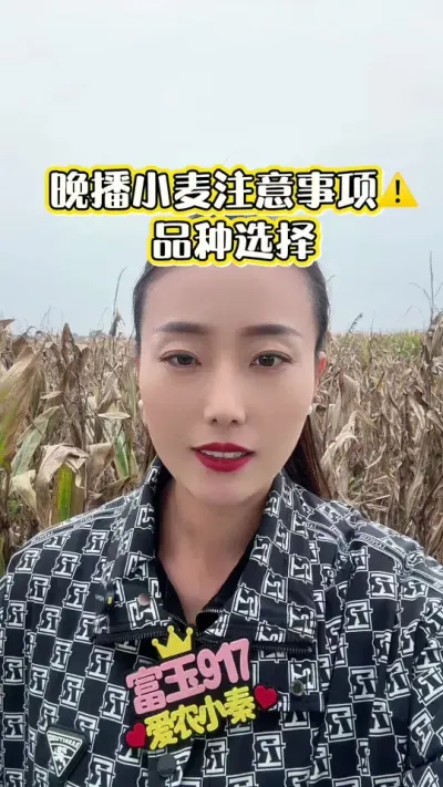 ����С��ע������?? ����ע�������������������𲽸��³���#��ũ #������ũ #����917 #����С�� #С��߲�����