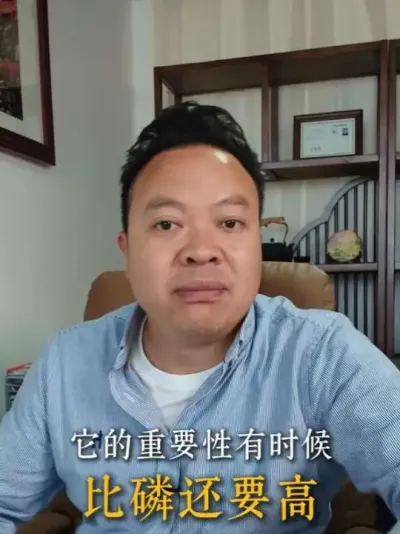 ���������Ƶ�����Ʋ��������Ʒʵ�ѡ���ʹ�ö�ݪֲ����Ҫ����#�Ʒ� #ݪֲ