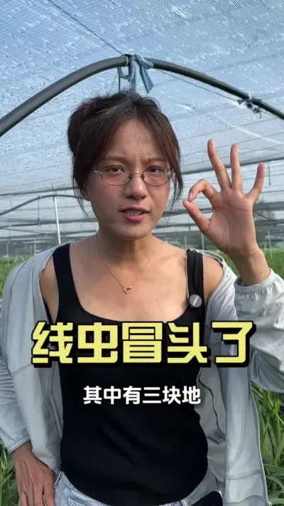 �����߳�����ðͷ����һ��Ҫ����������#��ũ������2025 #������ѧũ�� #�����ػ��� #��ݪֲ #�߳�