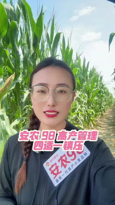 С��ݪֲע����������һ��ѹ ��ѧݪֲ��������Ч#������ũ #��ũ #��ũ98 #С��ݪֲ #�߲�С��