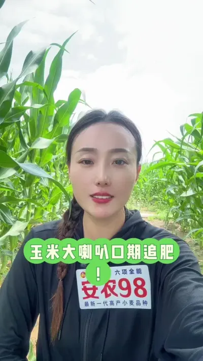 ���״����ȿ���׷�ʣ� ׷�ʸ���׷�ʵĵؿ���������һ���ٽ�����վ�ͦ�����������������Բ�����Ҫ����վ�׷һ�¸���#����׷�� #������ũ�� #��ũ #��ũ98 #���׸߲�ݪֲ����