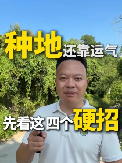 ȥ�겻��Ǯ�����겻��Ǯ������Ϊ��������ͺ�����������4��Ӳ�� #ũҵ #ũҵݪֲ #�ֵذ� #�ֵؽ�ֹ�� #ũҵ�����ƹ�