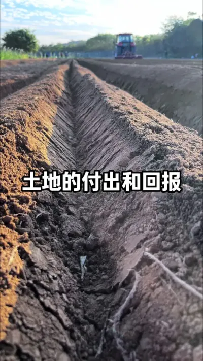 �������ר�������زŲ��Ṽ���� #�������� #�������� #ũҵݪֲ #������� #������ũ֧����ũ