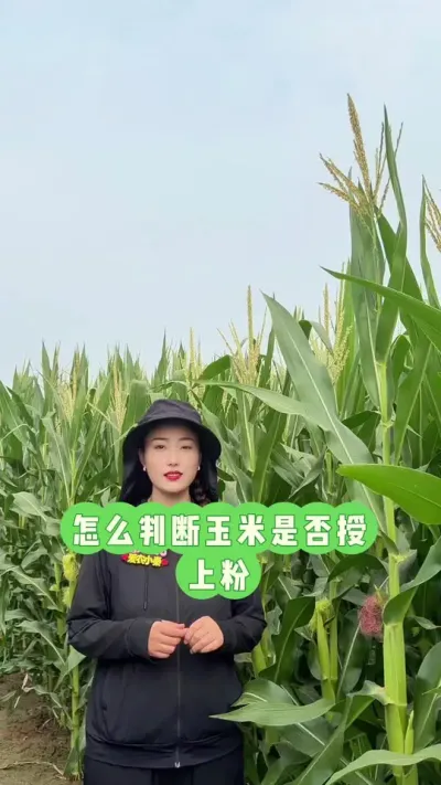 ��ô�ж�������û�����Ϸ� ���̫��������Ҫ����(?&omega;?)??#�����ڷ� #��ũ #������ũ #����698 #���׸߲�ݪֲ����