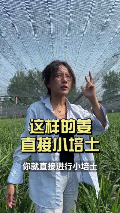 �����Ľ���ֱ�Ӹ���С������#��ũ������2025 #������ѧũ�� #�����ػ��� #��ݪֲ #����