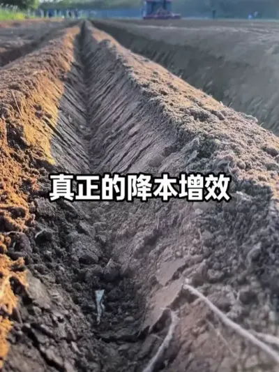 ��������������Ч������ѹ���ü�����������Ͷ������� #�������� #ũ�ʻ��� #ũҵ #�������� #������