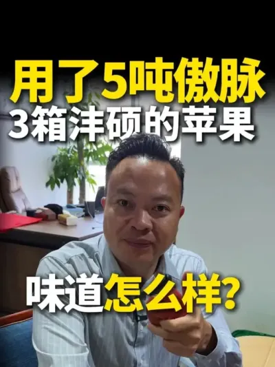 �Ƕȶ�ߵ�ƻ���Ż�����120��������һ��ƻ��ݪֲ��С������ #ƻ��ݪֲ #����ƻ�� #����