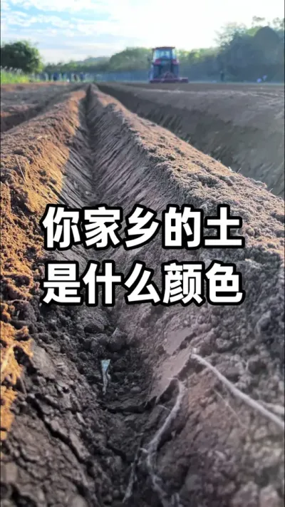 ����������ʲô��ɫ�� #���� #���� #�������� #ũҵݪֲ #��ũݪֲ