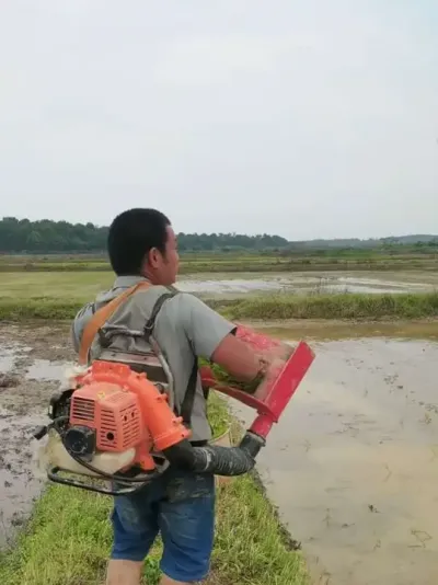 ����8���ֵط������������������#ũ������ #�ֵ� #ˮ��ݪֲ