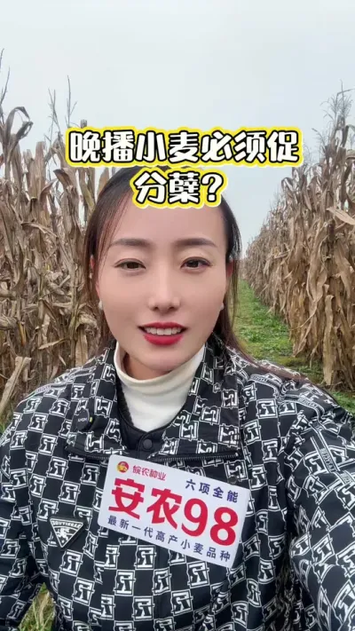 ����С����ô�ٷ��� ��Ϲ������Ƿ���������ã�#��ũ #��ũݪֲ #��ũ98 #��ũ������ #����С��