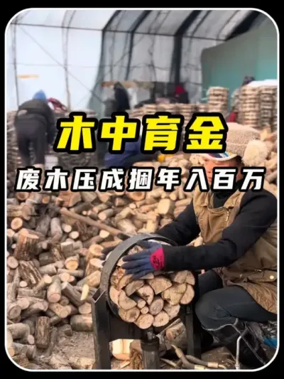 ��ľͷѹ��Բ�����������������ӷ��˲�����ô������ #����Ȥ��  #����  #��Ȥ����֪ʶ