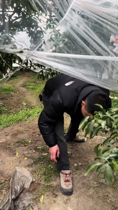 ������԰��ע��#��ũ #ũҵ��ֲ #������ֲ����