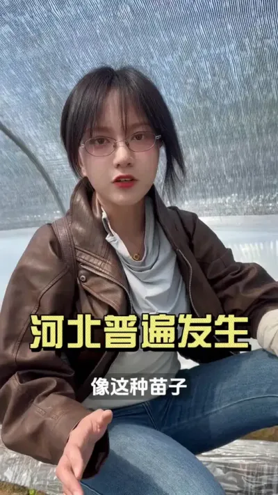 这个情况在河北普遍发生，大家多注意下！#新农人计划2025 #抖音助农扶农 #大姜种植 #乡村生活家 #来抖音学农技