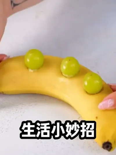 ����С�������ղ������ܻ��õ� ���ڷ�����С����������ݪֲ�������ܲ�ݪֲ���������ݪֲ��������ݪֲ��������ݪֲ��������ݪֲ�����۲�ݪֲ��#�ڼ��ֲ� #ݪֲ���� #��̨��԰ #��̨�ֲ�