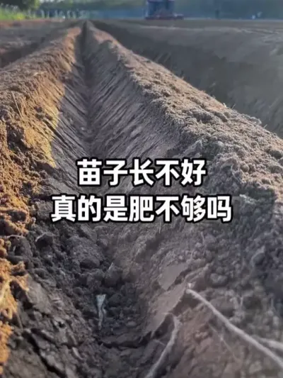 ��ʵ���ں��ڴ󲿷�ũ�����ʲ���ȱ������ȱ����&ldquo;������&rdquo; #��Դ��ֳ��� #��ֳ�� #ũҵݪֲ #�������� #�ٸ�׳��