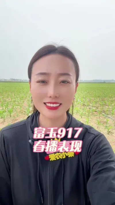 富玉917，玉米轰炸机 品种选择一定要根据我们的地块情况，还有管理水平来选择合适的品种，水肥不太能跟上的还是稀植大棒的更有优势，更能有产量一些！#玉米 #三农 #抖音助农 #农业知识分享 #富玉917