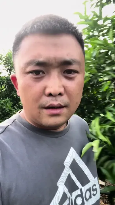 吃莽皮，增糖增色，认到金装，独家添加上糖配方#柑橘 #柑橘种植