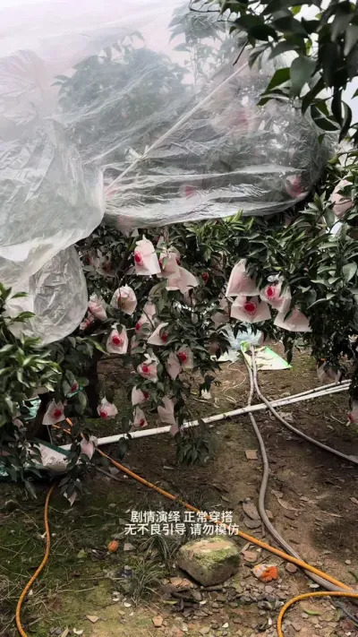 ����ʱװ���ѽ�����#��Ц #ʱװ�� #ũ������