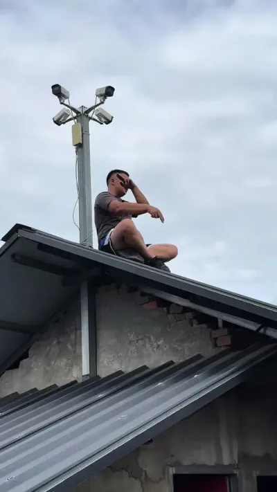 ����͵� ��çƤ#������ #ԭ����Ƶ #����ݪֲ #��ũ