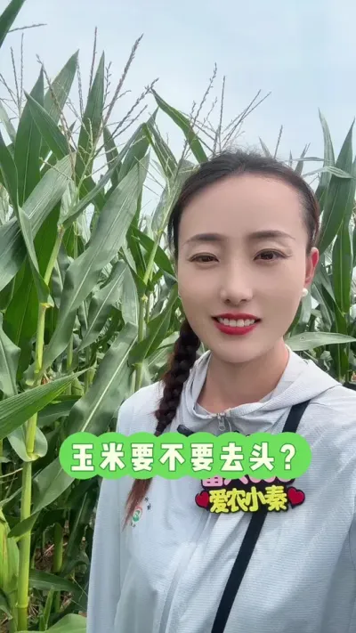 �����ܲ���ȥͷ�� ��Щ���������粻ȥ��˵���������˵������¶�#��ũ #ũҵݪֲ #����698 #����ȥͷ #������ũ