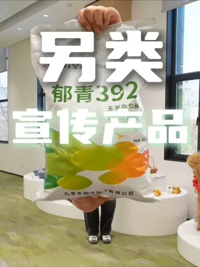 ������������һ�¹�˾���������� #��ʥ����ҵ #��Ʒ���� #����392 #����763