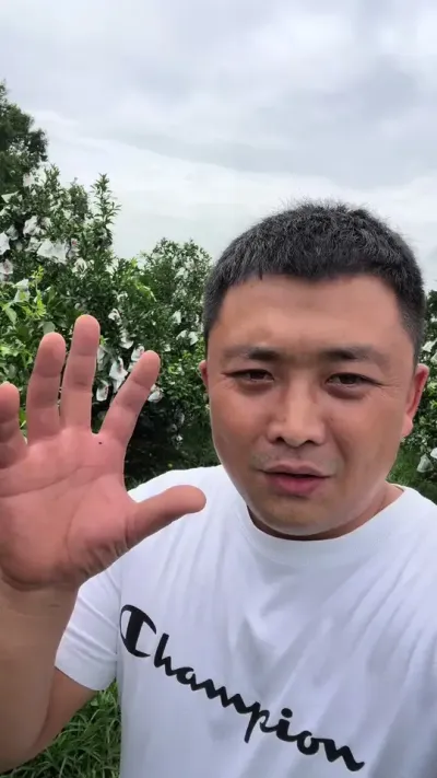 �޼�����Ϊ����Ŀ#��ũ #��ũݪֲ #��԰���� #ݪֲ����