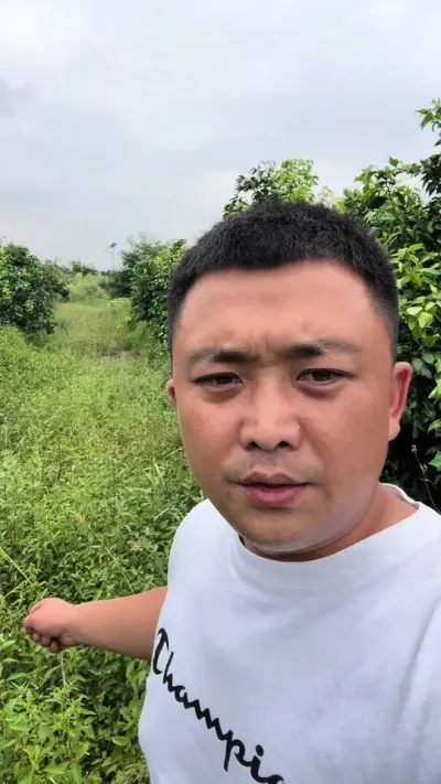 ������ô���ݵ�#��ũ #��԰���� #����ݪֲ #����