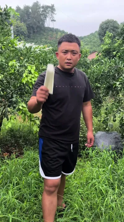 ���躰���ȥ��������#����ݪֲ #��ũݪֲ #��԰����