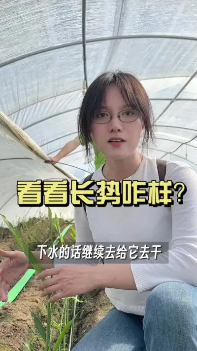 看看8米棚套4米棚的长势咋样了&hellip;&hellip;#新农人计划2025 #抖音助农扶农 #大姜种植 #乡村生活家 #来抖音学农技