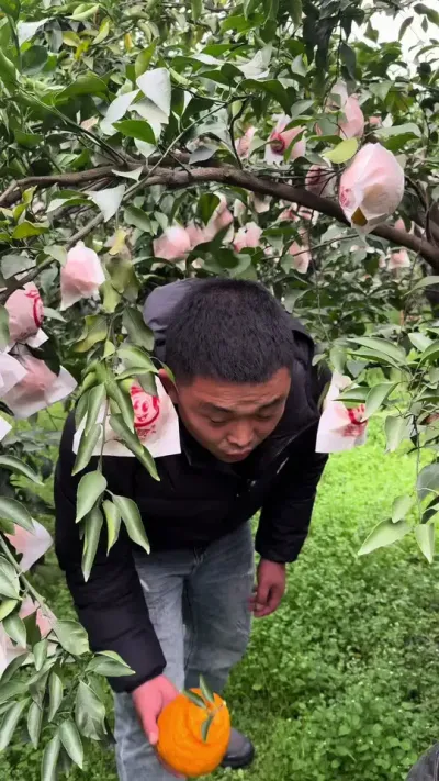 ��ϣ��ÿһ��ϲ���԰ҰҸ̵���٭���ܿ��������Ƶ#��ũ #�ҰҸ� #����ݪֲ #˵����滰