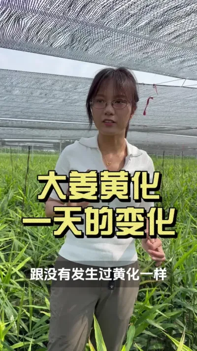 �õĲ�Ʒ��Ч������#�����Ƽ�? #�����ػ��� #������ũ