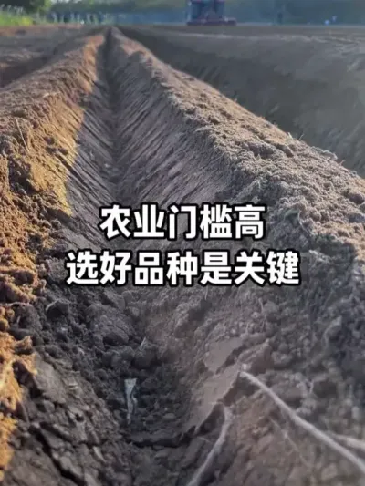 ũҵ���ż�������ʵ���� #ũҵݪֲ #�������� #ũ���� #��ũ�� #��ũ