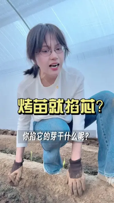 烤苗把芯掐了就好了？#新农人计划2025 #抖音助农扶农 #大姜种植 #乡村生活家 #来抖音学农技