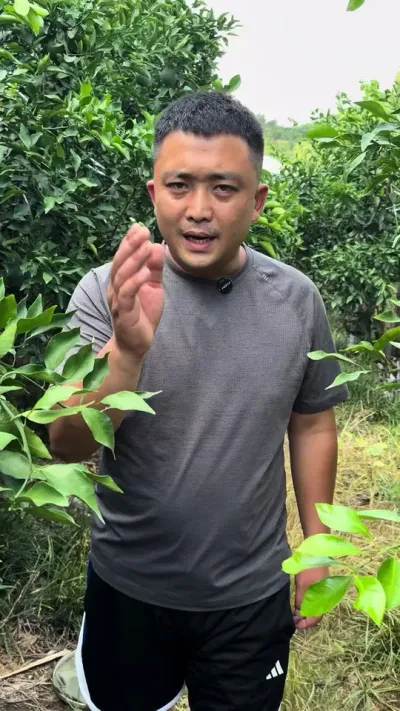 ��Ҫ������ #����ݪֲ #��ũݪֲ #��԰����