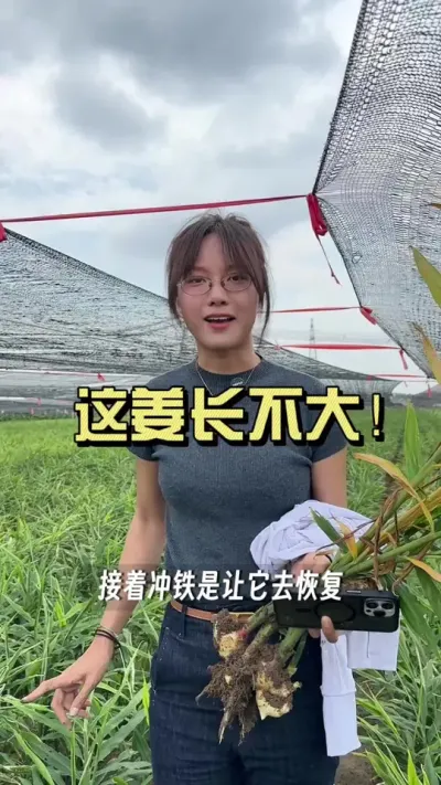 ������������ε����ֲ��ٶ��⽪Ҳ��������Ϊʲô����#��ũ������2025 #�����ػ��� #��ݪֲ #������ѧũ��