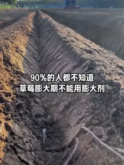 90%���˲�֪����ݮ����ڲ���������#��ݮݪֲ #��ݮ���� #��ݮ�ѹ� #��ݮ����� #�й�ũҵ @��������