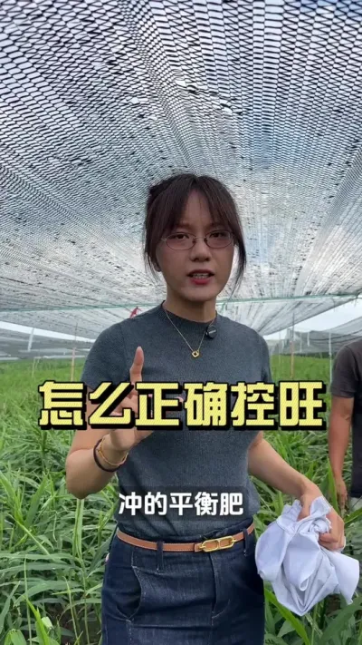 �󽪿��������ҿ���С�Ľ�Ҳ�����ˣ�#��ũ������2025 #������ѧũ�� #�����ػ��� #��ݪֲ #����