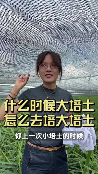 ��ʲôʱ���������������������ô����#��ũ������2025 #������ѧũ�� #�����ػ��� #��ݪֲ #������