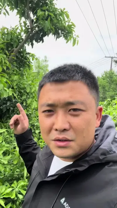 种植业重在管理#三农 #柑橘种植