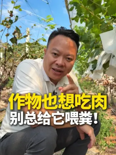 ����Ҳ����������ܸ���ι���� #ũҵ���� #�ŷ��ѷ�  #ũҵ #ũҵݪֲ #����