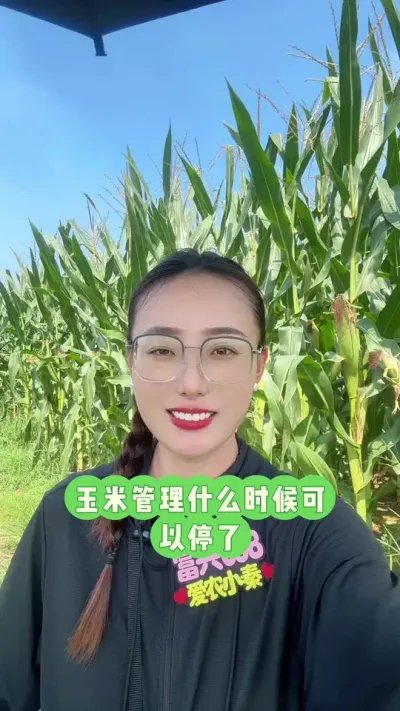 ����ɶʱ��Ͳ��ع��� ���׹�����һ������ϣ�����˷������#��ũ #������ũ #����698 #���׸߲� #ũҵݪֲ