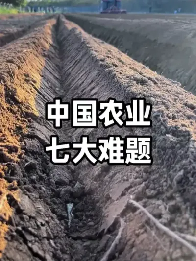 ����ũҵ�ߺƽ��� #ũҵݪֲ #ݪֲ�� #��ũ #�������� #�л�ũҵ