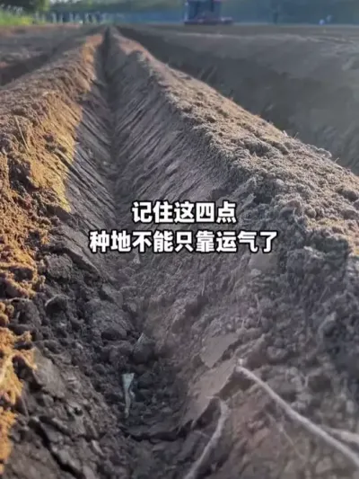 ������׬Ǯ�������Ѿ���ȥ����㿴�����ơ�����˼·���ж������������ֳɲŻ����һ��#ũҵ��ֲ #�������� #�������� #��ֳ�� #��ũ