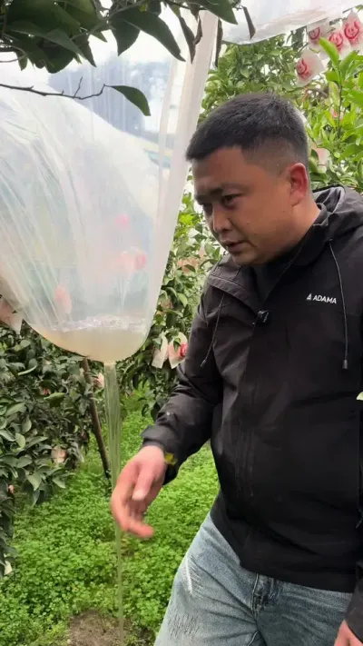 ������ �ٵ���· #��ũ #�ҰҸ� #˵����滰