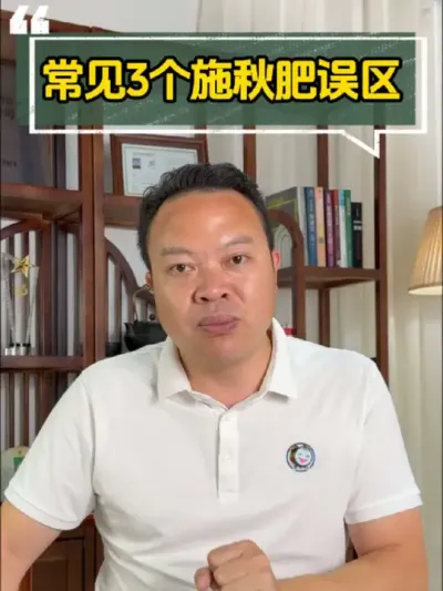 ����ʳ�����3������#��� #ʩ�� #���ӷ�