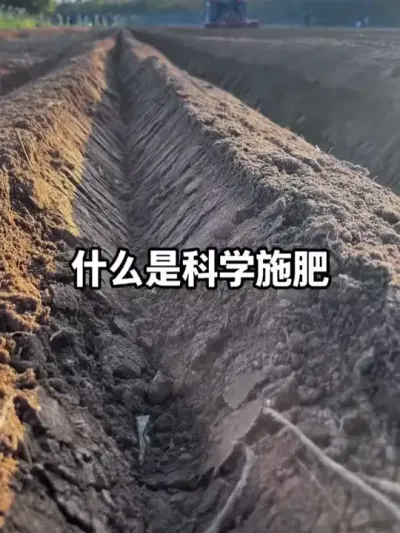 ���������������������÷��ϻ��������� #�������� #��ѧʩ�� #����Ԫ�� #��΢��Ԫ�� #ũҵݪֲ